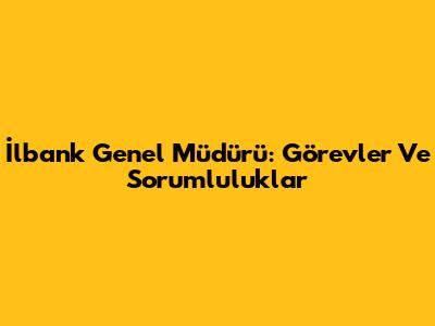 İlbank Genel Müdürü: Görevler Ve Sorumluluklar