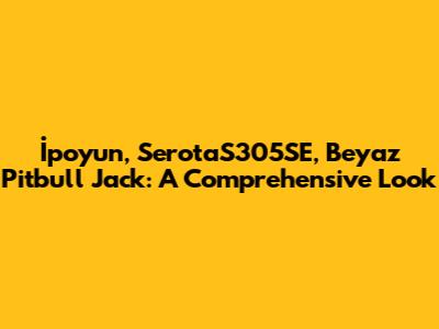 İpoyun, SerotaS305SE, Beyaz Pitbull Jack: A Comprehensive Look