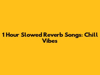 1 Hour Slowed Reverb Songs: Chill Vibes