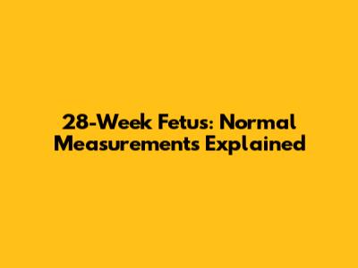 28-Week Fetus: Normal Measurements Explained