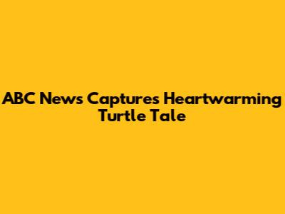 ABC News Captures Heartwarming Turtle Tale