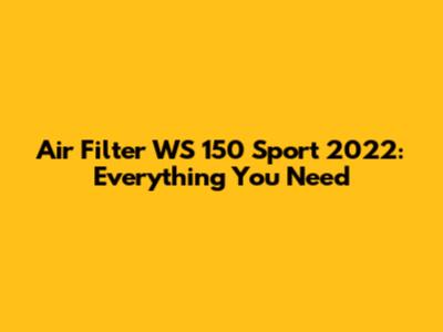 Air Filter WS 150 Sport 2022: Everything You Need