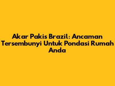 Akar Pakis Brazil: Ancaman Tersembunyi Untuk Pondasi Rumah Anda
