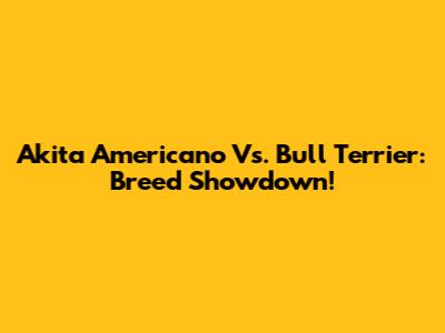 Akita Americano Vs. Bull Terrier: Breed Showdown!