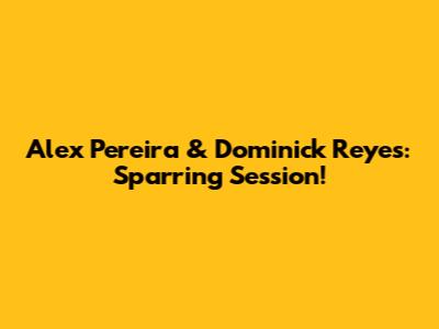 Alex Pereira & Dominick Reyes: Sparring Session!