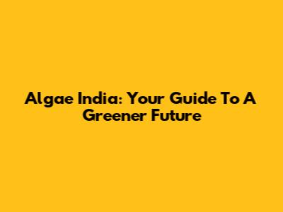 Algae India: Your Guide To A Greener Future