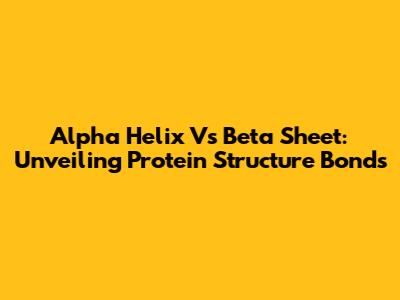 Alpha Helix Vs Beta Sheet: Unveiling Protein Structure Bonds