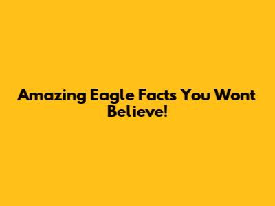 Amazing Eagle Facts You Won't Believe!