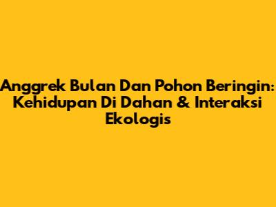 Anggrek Bulan Dan Pohon Beringin: Kehidupan Di Dahan & Interaksi Ekologis
