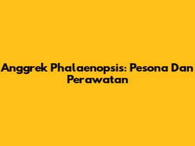 Anggrek Phalaenopsis: Pesona Dan Perawatan