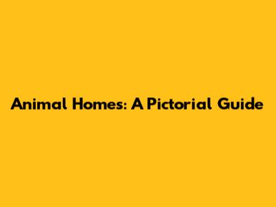 Animal Homes: A Pictorial Guide