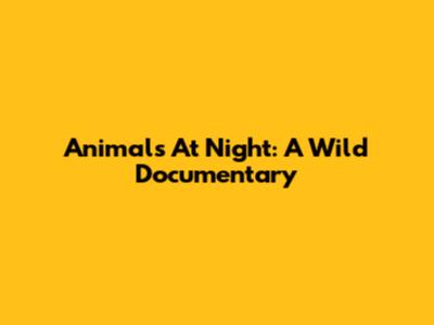 Animals At Night: A Wild Documentary