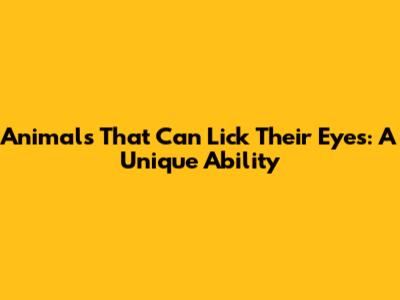 Animals That Can Lick Their Eyes: A Unique Ability