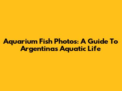 Aquarium Fish Photos: A Guide To Argentina's Aquatic Life