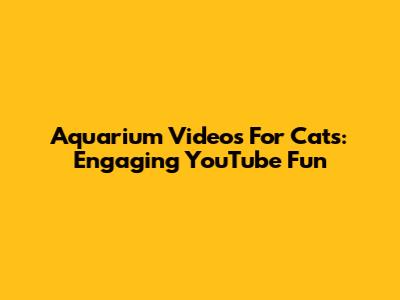 Aquarium Videos For Cats: Engaging YouTube Fun