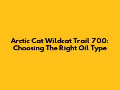 Arctic Cat Wildcat Trail 700: Choosing The Right Oil Type