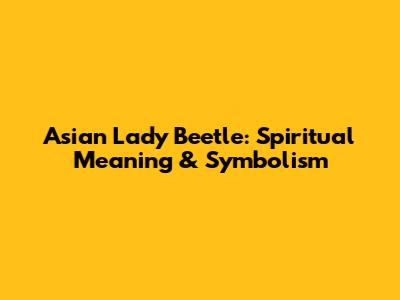 Asian Lady Beetle: Spiritual Meaning & Symbolism