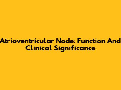 Atrioventricular Node: Function And Clinical Significance