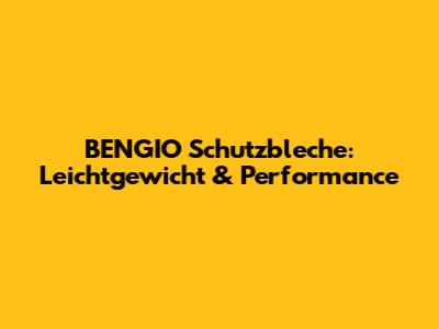 BENGIO Schutzbleche: Leichtgewicht & Performance