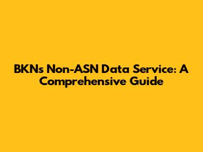 BKN's Non-ASN Data Service: A Comprehensive Guide