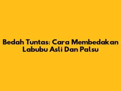 Bedah Tuntas: Cara Membedakan Labubu Asli Dan Palsu