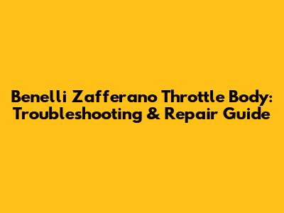 Benelli Zafferano Throttle Body: Troubleshooting & Repair Guide