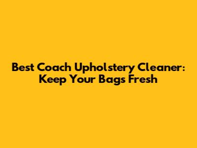 Best Coach Upholstery Cleaner: Keep Your Bags Fresh