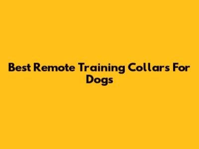 Best Remote Training Collars For Dogs