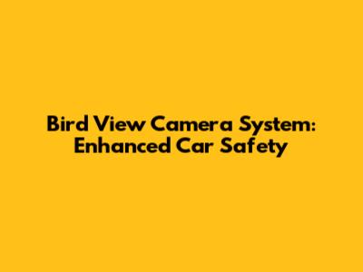 Bird View Camera System: Enhanced Car Safety