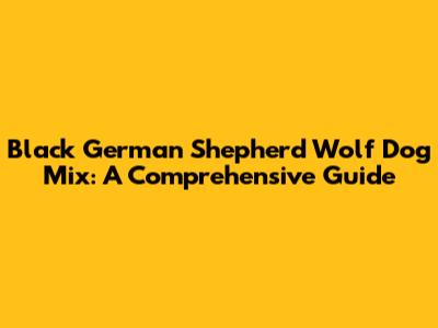 Black German Shepherd Wolf Dog Mix: A Comprehensive Guide