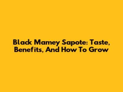 Black Mamey Sapote: Taste, Benefits, And How To Grow