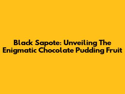 Black Sapote: Unveiling The Enigmatic Chocolate Pudding Fruit