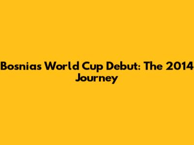 Bosnia's World Cup Debut: The 2014 Journey