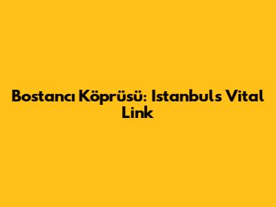 Bostancı Köprüsü: Istanbul's Vital Link