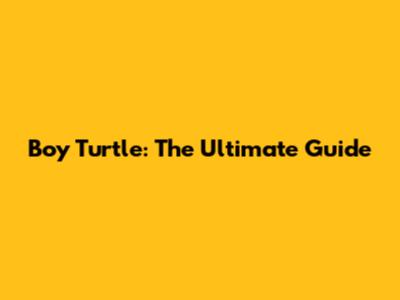 Boy Turtle: The Ultimate Guide