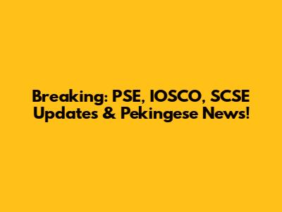 Breaking: PSE, IOSCO, SCSE Updates & Pekingese News!