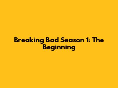 Breaking Bad Season 1: The Beginning