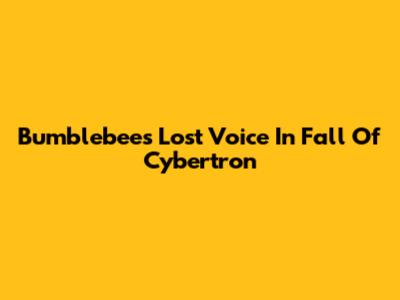 Bumblebee's Lost Voice In Fall Of Cybertron