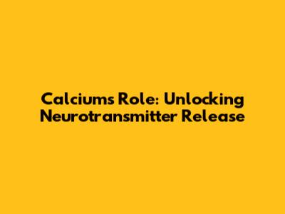 Calcium's Role: Unlocking Neurotransmitter Release