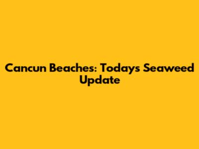 Cancun Beaches: Today's Seaweed Update
