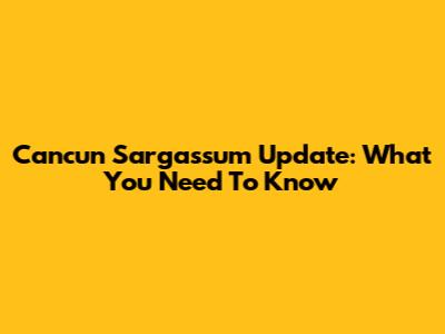 Cancun Sargassum Update: What You Need To Know