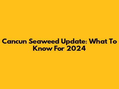 Cancun Seaweed Update: What To Know For 2024