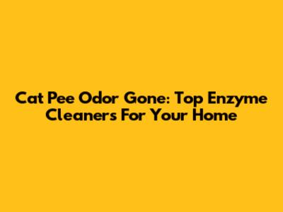 Cat Pee Odor Gone: Top Enzyme Cleaners For Your Home