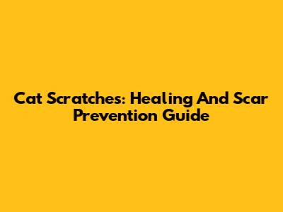 Cat Scratches: Healing And Scar Prevention Guide