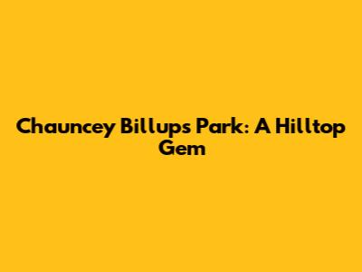 Chauncey Billups Park: A Hilltop Gem