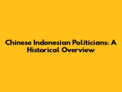 Chinese Indonesian Politicians: A Historical Overview