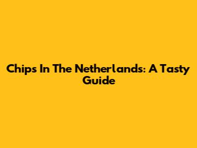 Chips In The Netherlands: A Tasty Guide
