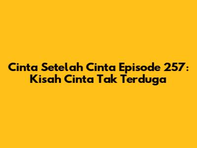 Cinta Setelah Cinta Episode 257: Kisah Cinta Tak Terduga