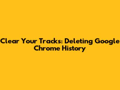 Clear Your Tracks: Deleting Google Chrome History