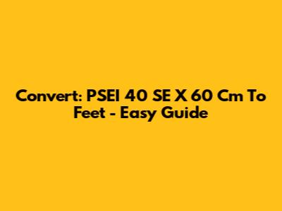 Convert: PSEI 40 SE X 60 Cm To Feet - Easy Guide